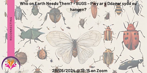 BUGS – Who on Earth Needs Them? - BUGS – Pwy ar y Ddaear sydd eu hangen?  primärbild