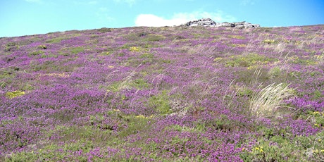 ERCCIS Heathland Indicator Plants Workshop primary image