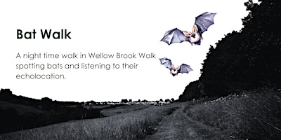 Bat Walk in Wellow Brook Walk primary image