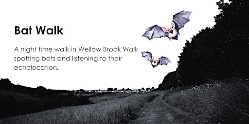 Imagem principal do evento Bat Walk in Wellow Brook Walk