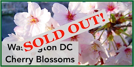 Bring a Camera & Capture Cherry Blossoms & Spring Blooms, A Day in DC! primary image