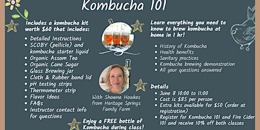 Imagem principal do evento Kombucha 101