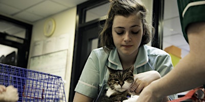 Imagem principal de Virtual Open Evening –Veterinary Nursing: Satellite centres,Edinburgh,Wigan
