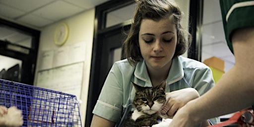 Image principale de Virtual Open Evening –Veterinary Nursing: Satellite centres,Edinburgh,Wigan