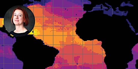 Hauptbild für A New Dimension of Marine Biodiversity