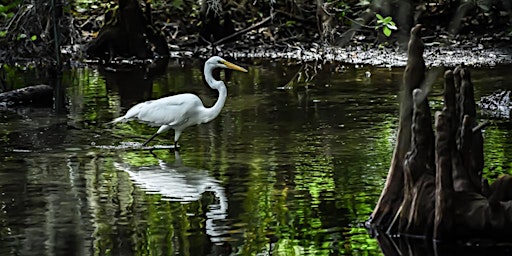 Imagem principal de Composition in the Field - Photography Workshop