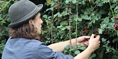 FORAGE & NIBBLE in Sheffield primary image