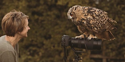 Immagine principale di Photographing Falconry  Workshop 