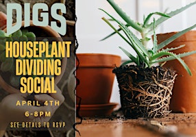 House Plant Dividing Social Night  primärbild