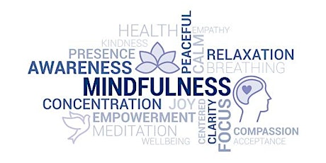 Meditation and Mindfulness Course