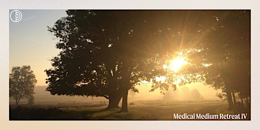Immagine principale di Medical Medium Retreat IV @ Hilversum - 19 tot 21 juli 2024 