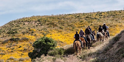 Imagem principal de Annual Wildflower Walk