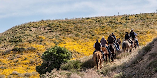 Annual Wildflower Walk primary image