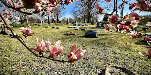 Imagem principal do evento The Last Word: Epitaphs of Elmwood Cemetery