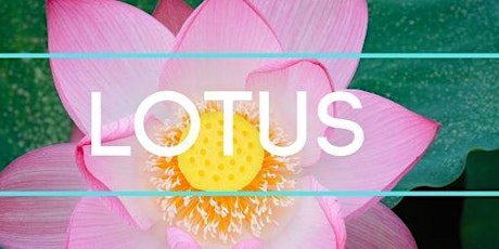 Lotus Class at Garden Ponds