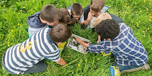 Young Wardens at Carlton Marshes (ECC 2815) primary image