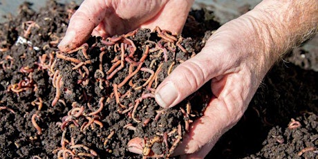 Worm Farming: Tips, Advice and Demonstration primary image