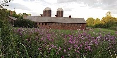 Hauptbild für 04/20 Exhibits & 1PM Tour