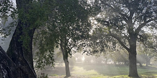 Learning the Landscape – Exploring Olompali’s Diverse Ecosystems  primärbild