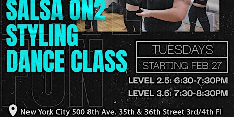 Ladies Styling Dance Class, Level 2.5 Advanced-Beginner