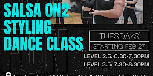 Imagem principal de Ladies Styling Dance Class, Level 3.5 Intermediate