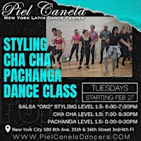 Image principale de Ladies Styling Dance Class, Level 1.5 Beginner