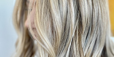 Imagem principal de Next Level Blonding & Toning