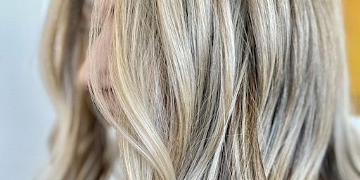 Imagem principal de Next Level Blonding & Toning