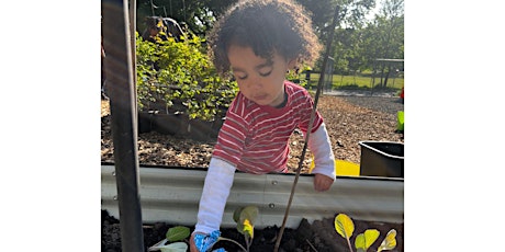 Super Seedlings - Spring Family Gardening Program