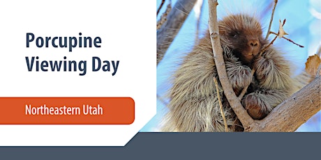 Porcupine Viewing Day primary image