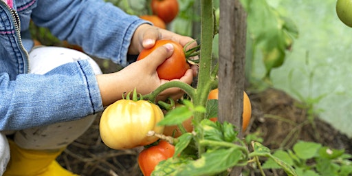 Summer Cooking Camp at Wakeman Town Farm Ages 6 -11 primary image