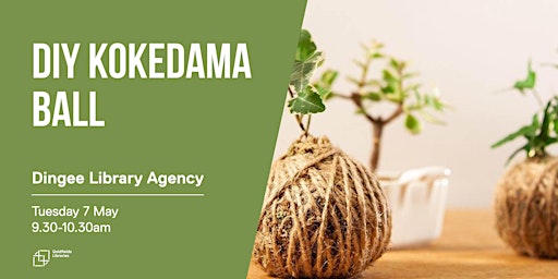 DIY Kokedama Ball primary image