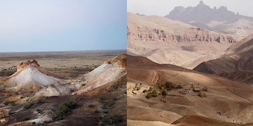Primaire afbeelding van Sounds of the Desert: Stories of the Cameleers