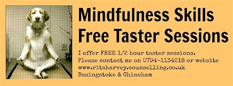 MINDFULNESS SKILLS TASTER SESSION MONDAY 18 AUGUST 2014 7pm primary image