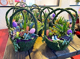 Easter Succulent Basket Workshops primary image