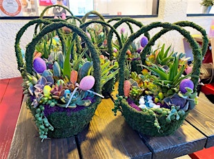 Easter Succulent Basket Workshops