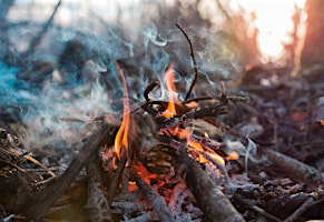 Hauptbild für Beltane: Embodied Breathwork Ceremony - Online