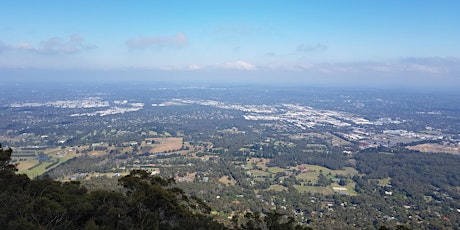 Mt Dandenong to Sky High - 18km return hike on the 6th of April, 2024