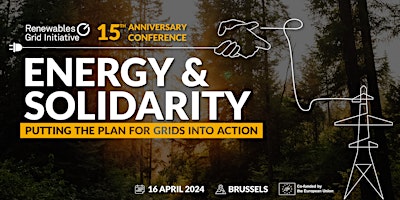 Primaire afbeelding van Conference | Energy & Solidarity: Putting the Plan for Grids into Action