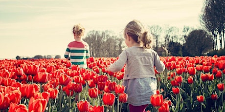 I Tulipani di Schifanoia - Campo di Autoraccolta in Mugello