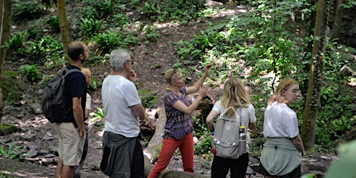 Primaire afbeelding van Frome Valley Walk | BRISTOL WALK FEST