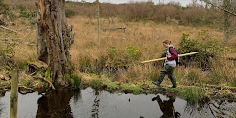 Listening in to the Biodiversity of Beaver Wetlands