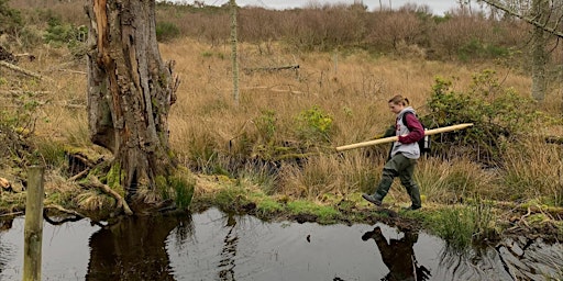 Image principale de Listening in to the Biodiversity of Beaver Wetlands