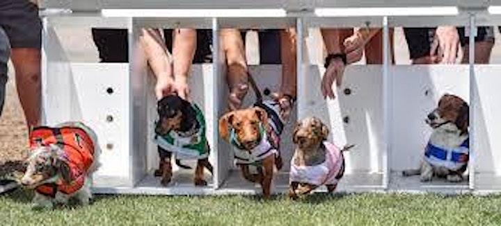 Crooked Can Brewing Company Oktoberfest Wiener Races image