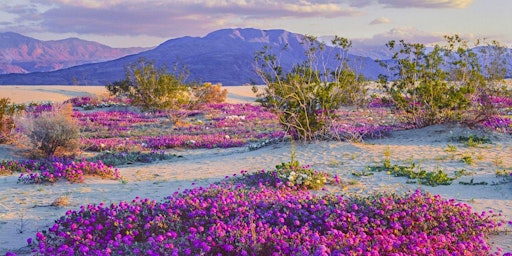 7 Day Best of SoCal w Wildflowers Tour & More!!! primary image
