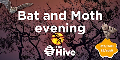 Imagem principal do evento Bat and Moth evening at The Hive