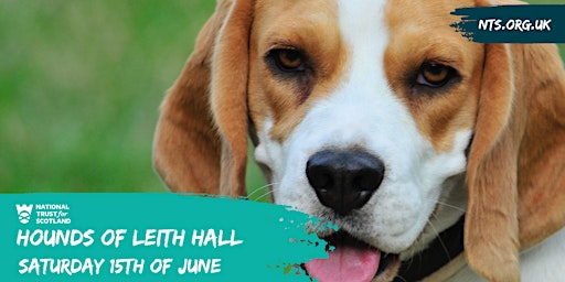 Imagem principal do evento Hounds Of Leith Hall