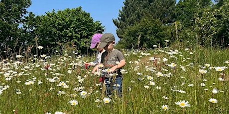 Wild Tots in Holywells Park (E9P 2814)