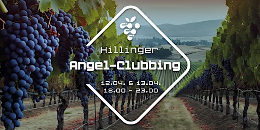 Primaire afbeelding van Hillinger Angel-Clubbing im CUBUS (12.4+13.4)