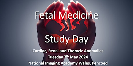 Fetal Medicine Study Day